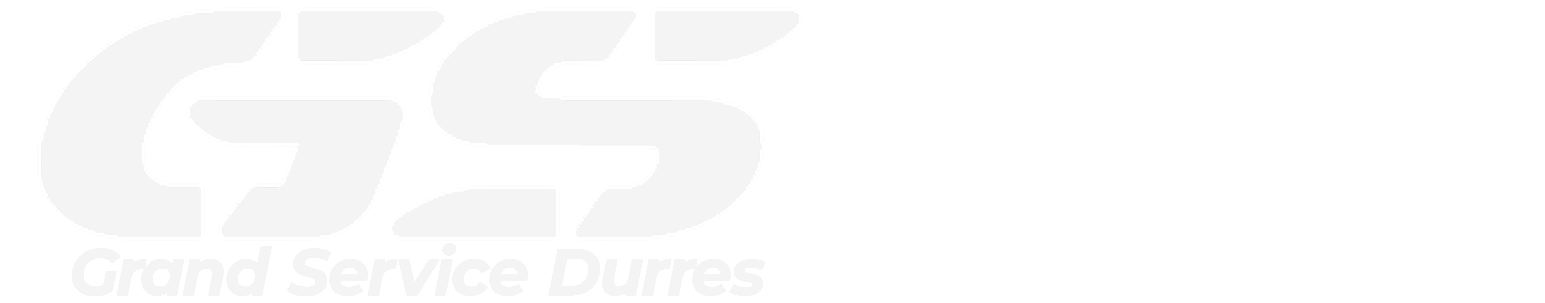 gs-1-e1710865299750-2